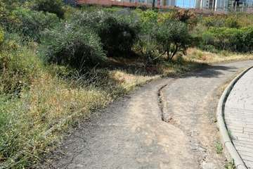 Abandono del Parque de las Mil Palmeras del Valle de Jinámar/TA.